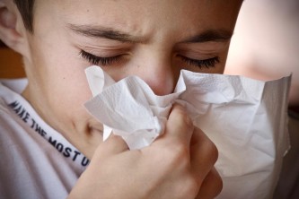 légúti allergia