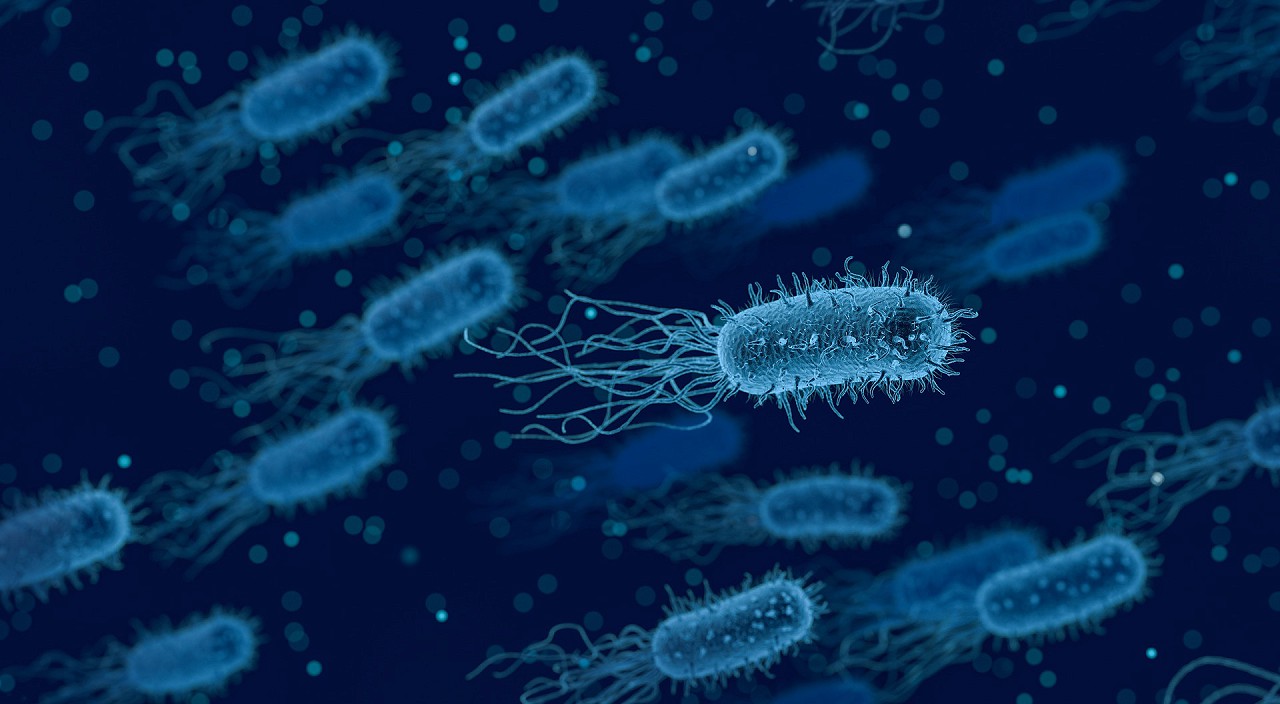 Bélrendszeri mikrobiom vizsgálat